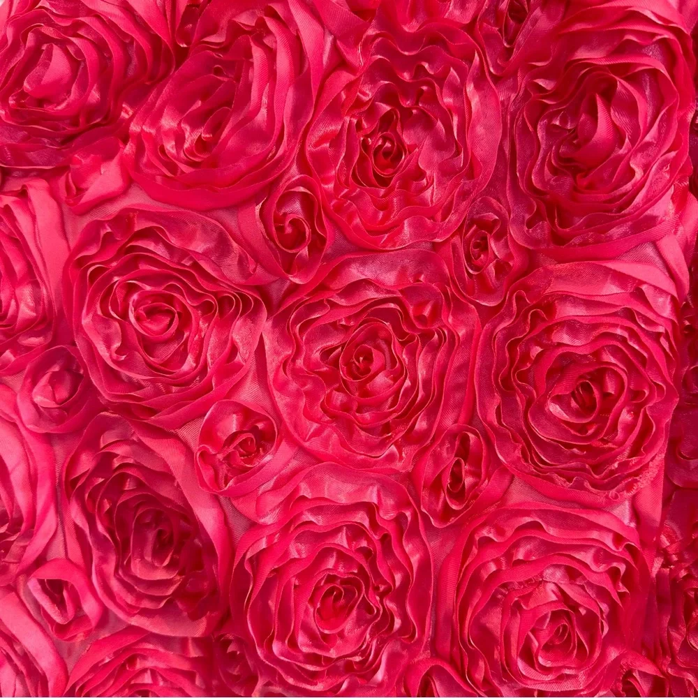 American Princess Pink dress with Rose embellishments